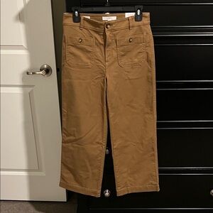 LOFT Men's Brown Chinos